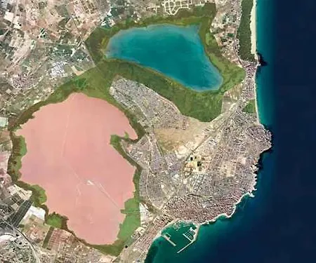 Pinada La Mata (Torrevieja)